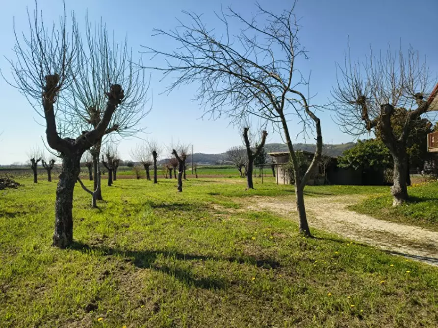 Immagine 6 di Casa bifamiliare in vendita  in carbonara a Rovolon