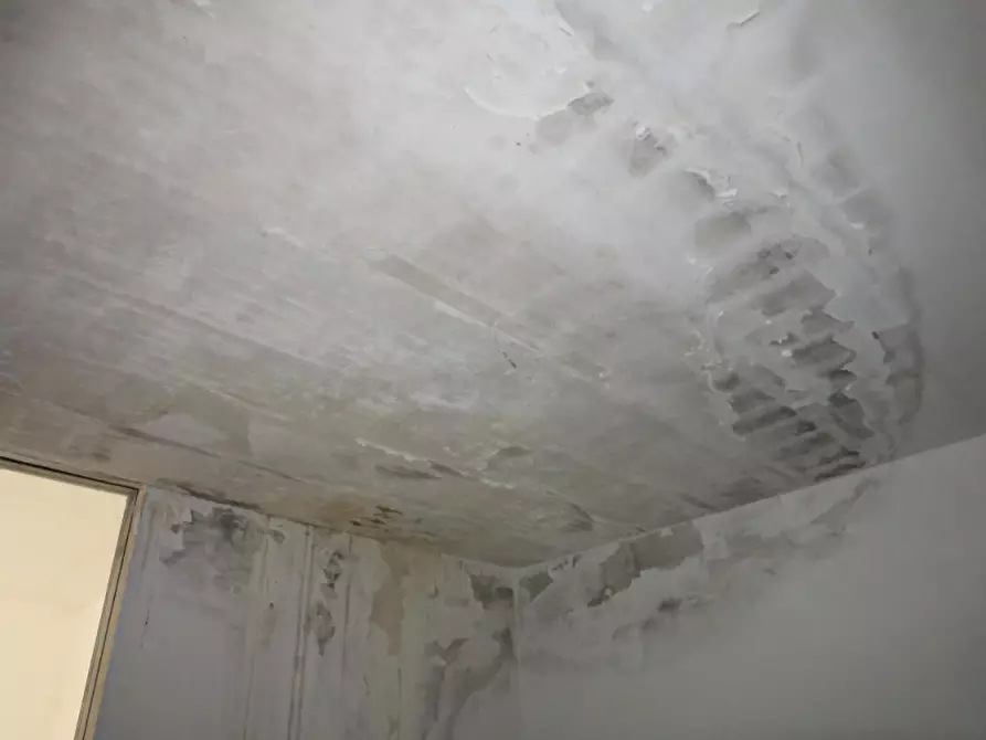 Immagine 46 di Villa in vendita  in Vicolo Tito Speri 6 a Casaleone