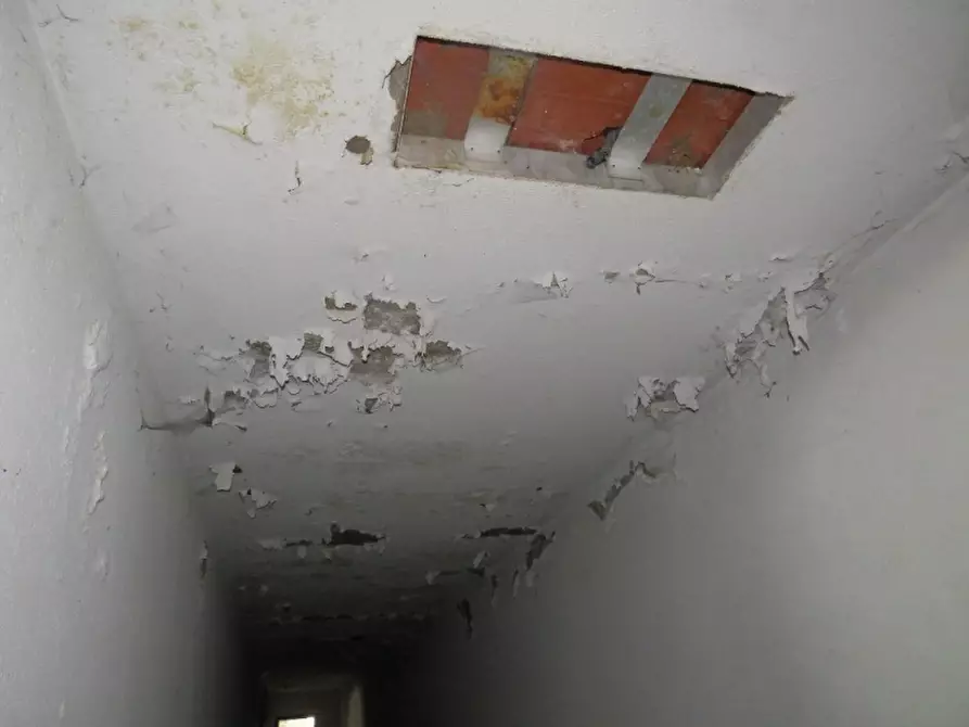 Immagine 20 di Casa indipendente in vendita  in Via Boccarona 11/12/13 a Casaleone