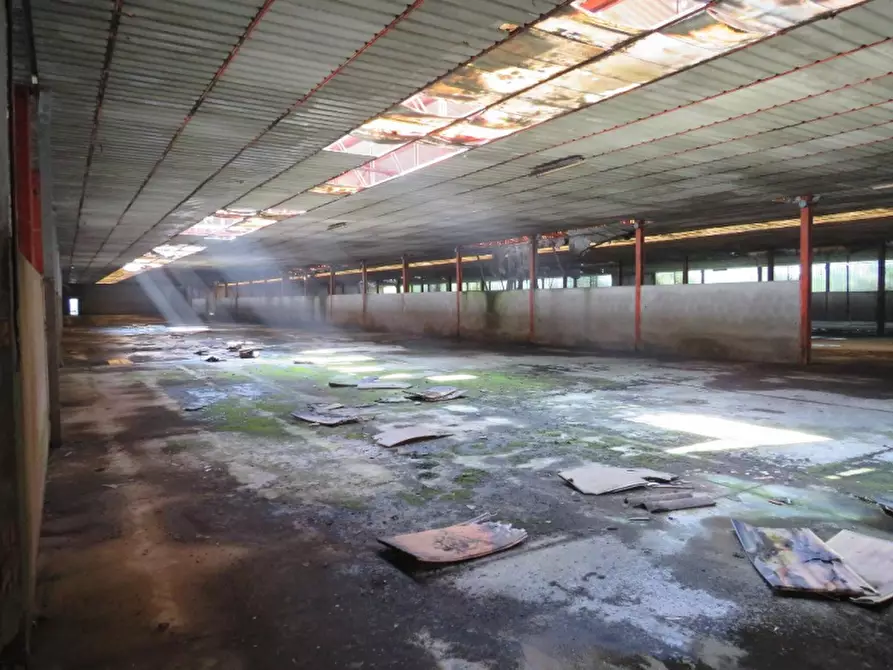 Immagine 30 di Casa indipendente in vendita  in Via Boccarona 11/12/13 a Casaleone