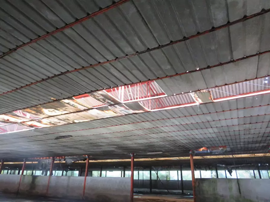 Immagine 31 di Casa indipendente in vendita  in Via Boccarona 11/12/13 a Casaleone