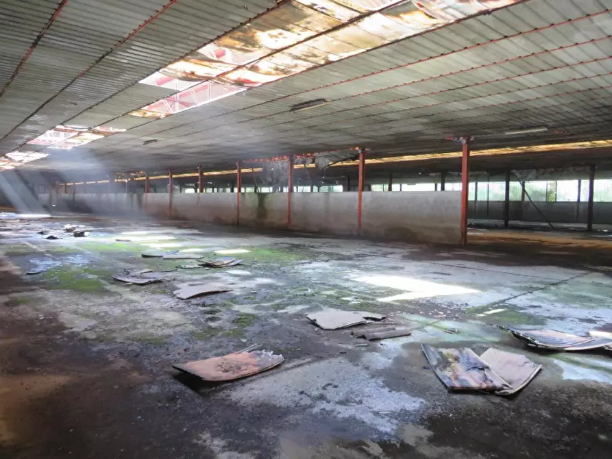 Immagine 32 di Casa indipendente in vendita  in Via Boccarona 11/12/13 a Casaleone