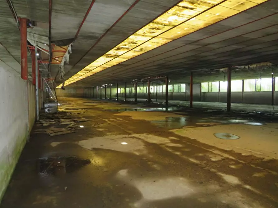 Immagine 33 di Casa indipendente in vendita  in Via Boccarona 11/12/13 a Casaleone