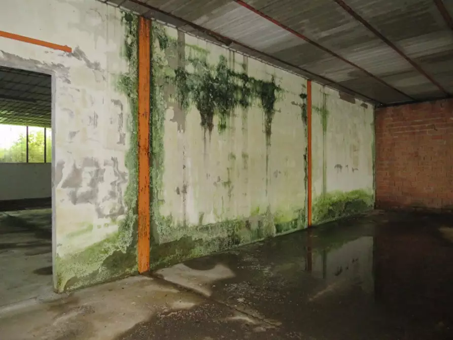 Immagine 39 di Casa indipendente in vendita  in Via Boccarona 11/12/13 a Casaleone