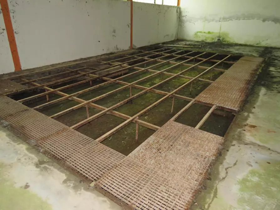 Immagine 41 di Casa indipendente in vendita  in Via Boccarona 11/12/13 a Casaleone