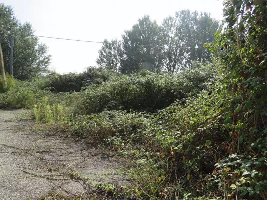 Immagine 42 di Casa indipendente in vendita  in Via Boccarona 11/12/13 a Casaleone