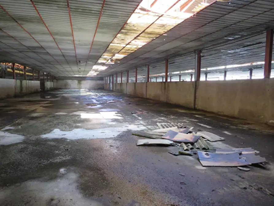 Immagine 43 di Casa indipendente in vendita  in Via Boccarona 11/12/13 a Casaleone