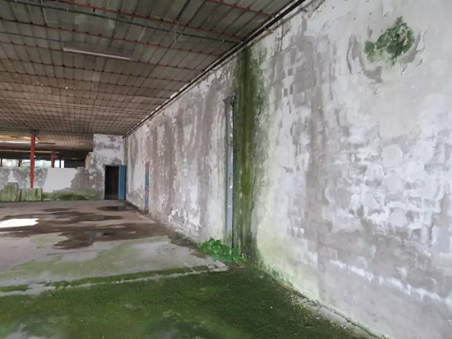 Immagine 48 di Casa indipendente in vendita  in Via Boccarona 11/12/13 a Casaleone