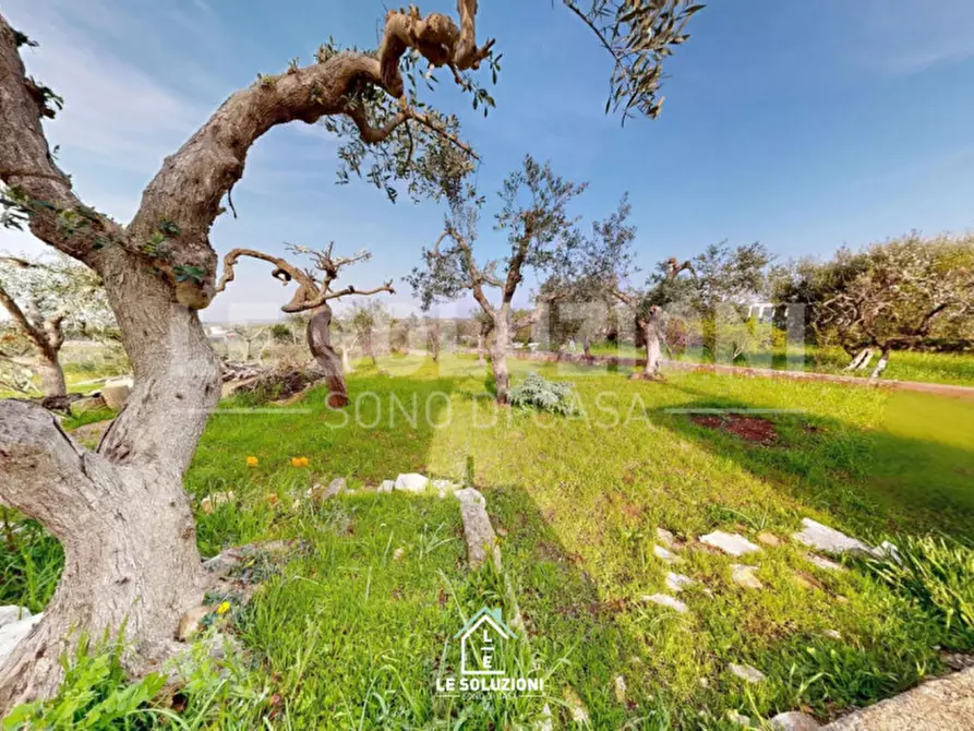 Immagine 18 di Villa in vendita  in strada pozzo a Conversano