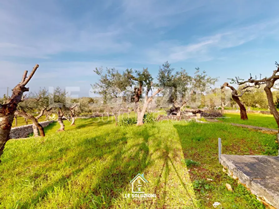 Immagine 20 di Villa in vendita  in strada pozzo a Conversano