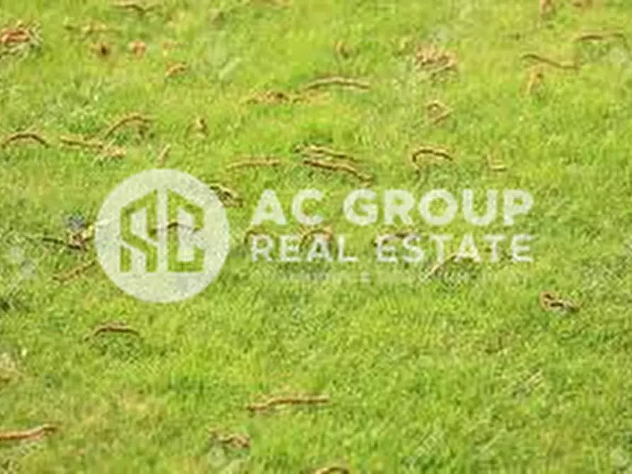 Immagine 5 di Terreno in vendita  a Gerenzano