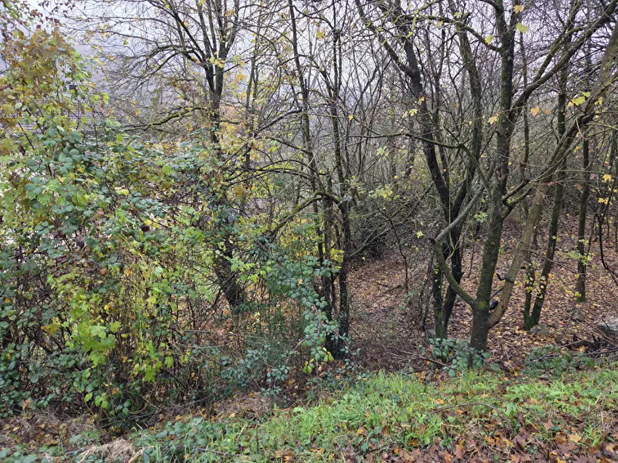 Immagine 1 di Terreno in vendita  in via aldo moro a Gaggio Montano