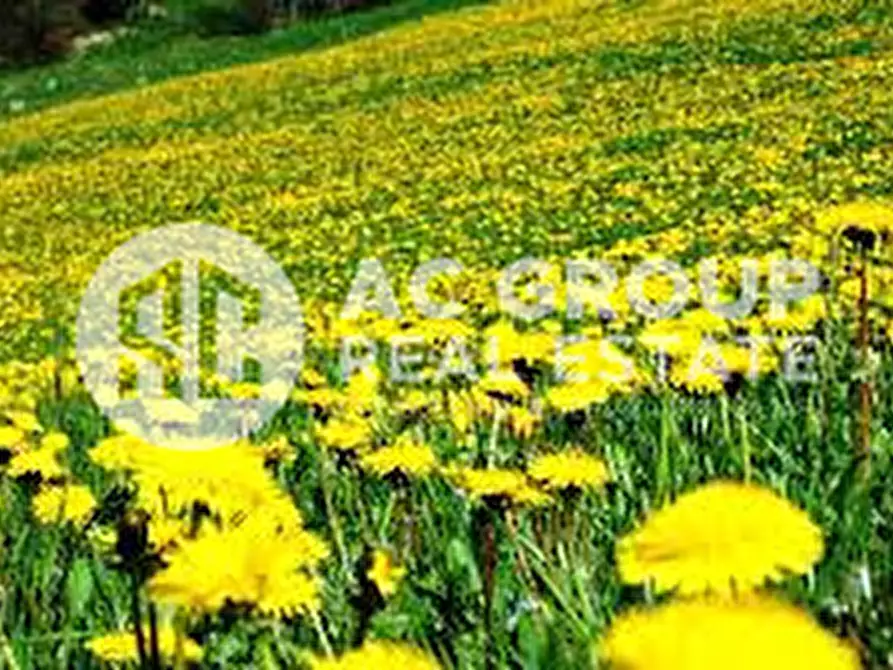 Immagine 9 di Terreno in vendita  a Turate
