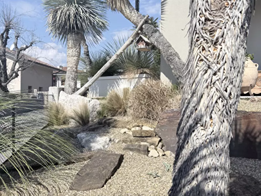 Immagine 5 di Appartamento in vendita  in Via Stradone del Bosco a Montebelluna