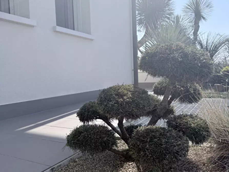 Immagine 7 di Appartamento in vendita  in Via Stradone del Bosco a Montebelluna