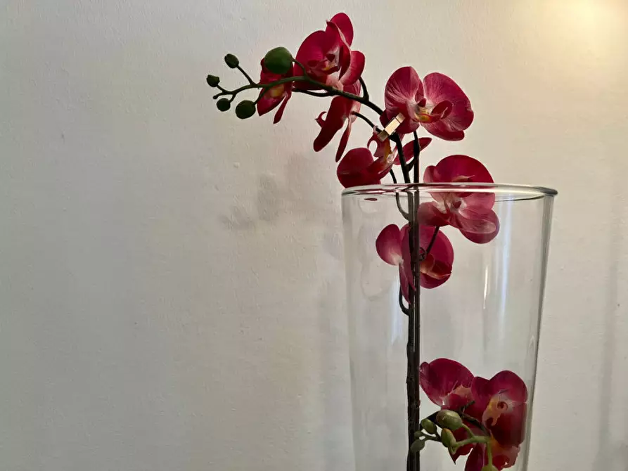 Immagine 24 di Appartamento in affitto  in via porrettana n.400 a Casalecchio Di Reno