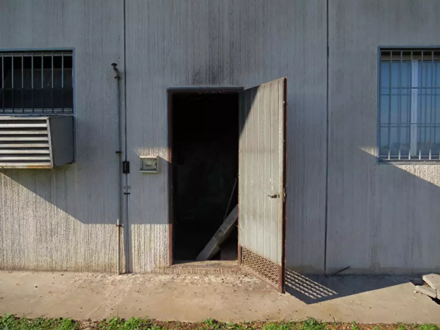 Immagine 27 di Laboratorio in vendita  in Via More 3 a Bovolone