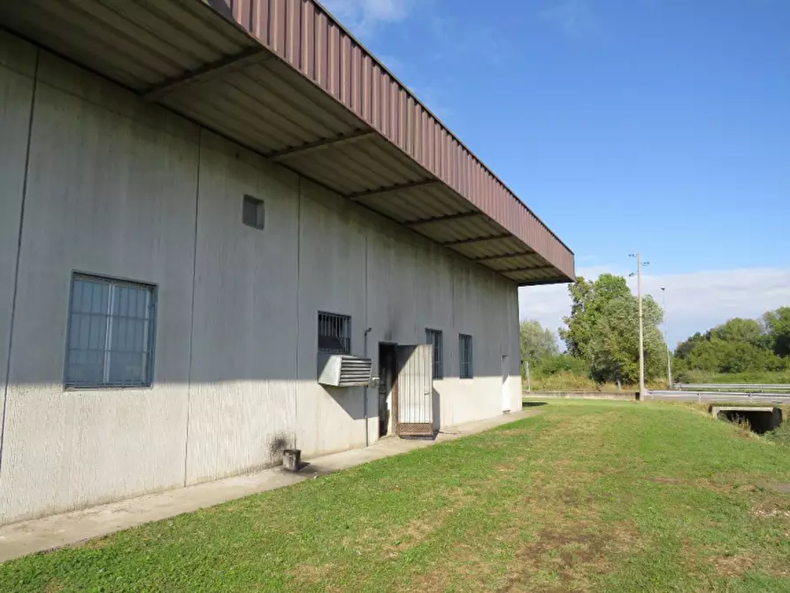 Immagine 31 di Laboratorio in vendita  in Via More 3 a Bovolone