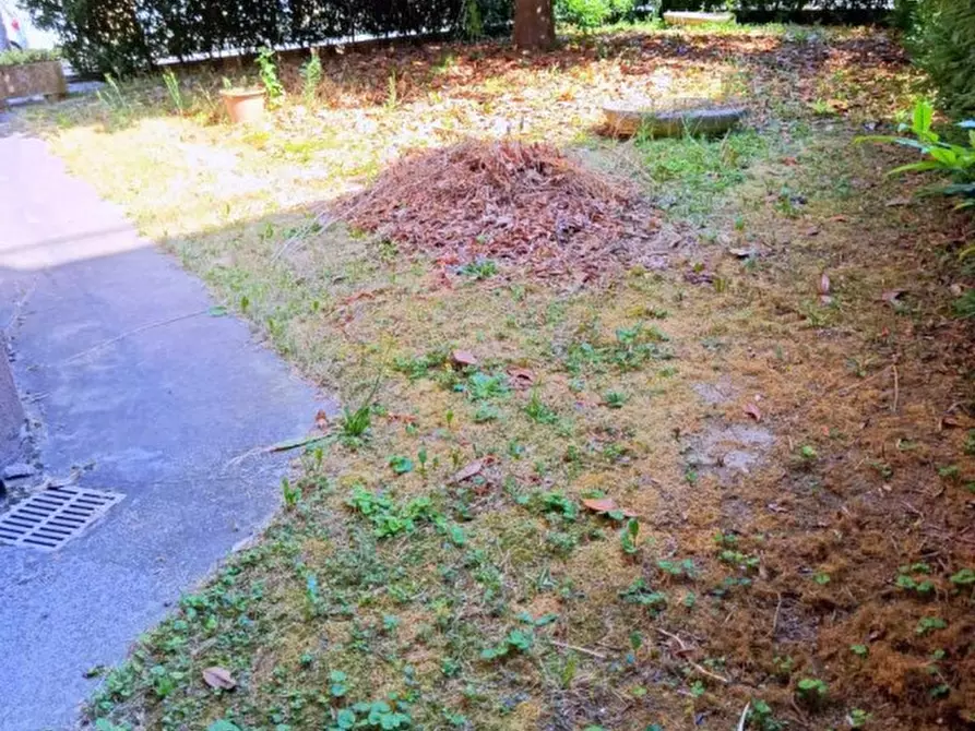 Immagine 2 di Appartamento in vendita  in Via Giacomo Ciamician a Padova