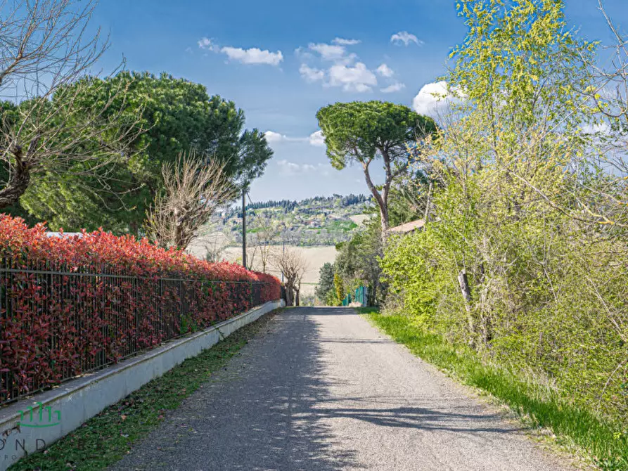 Immagine 13 di Appartamento in vendita  in Via Panoramica a Zola Predosa