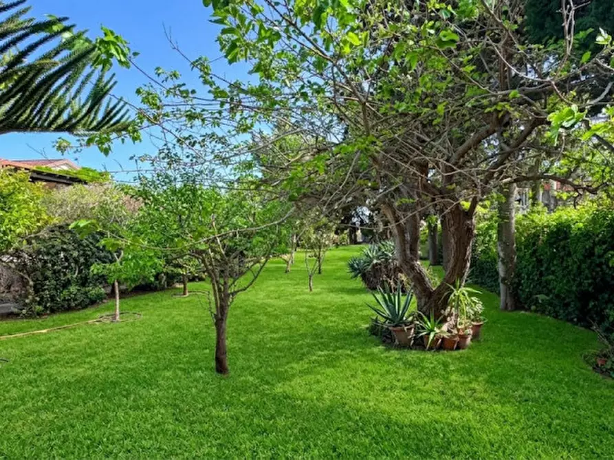Immagine 49 di Villa in vendita  in C.da S. Maria del Focallo a Ispica