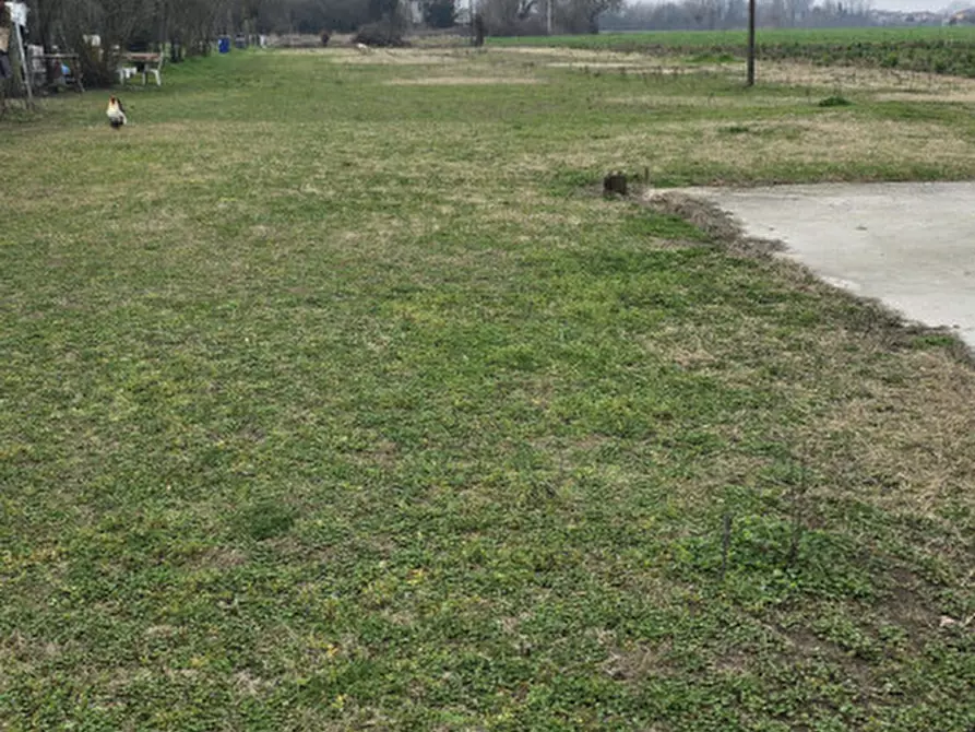 Immagine 38 di Villetta a schiera in vendita  in via filippi nuova a Ospedaletto Euganeo