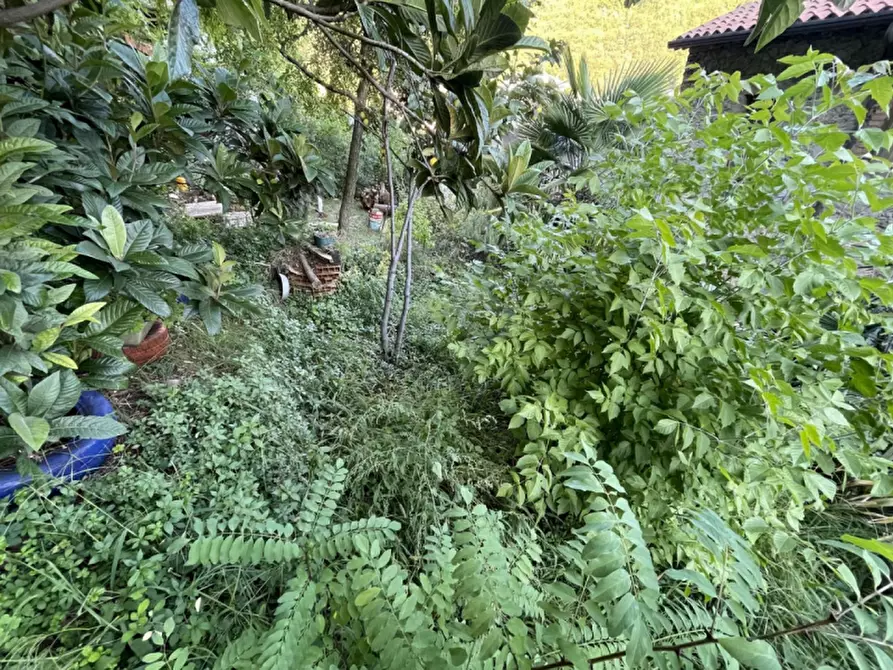 Immagine 25 di Villa in vendita  in Via Fermo Sisto Zerbato a Tregnago