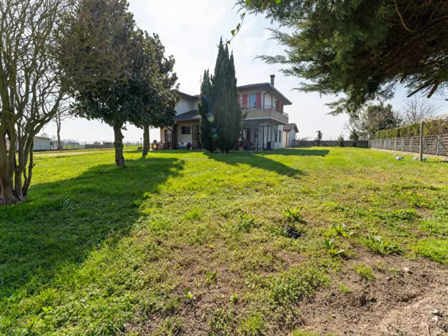 Immagine 3 di Casa indipendente in vendita  a Arzergrande