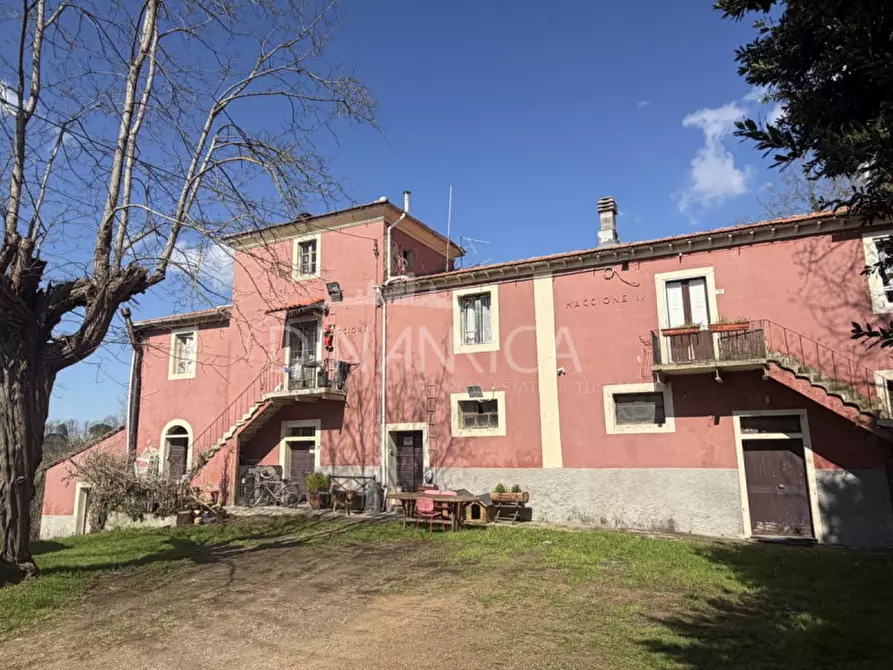 Immagine 2 di Rustico / casale in vendita  a Fauglia