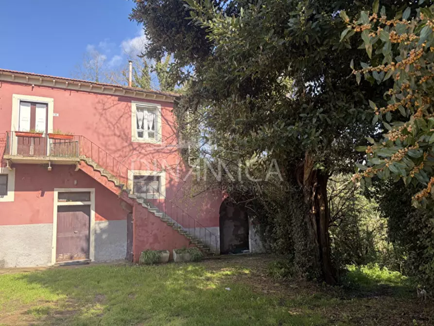 Immagine 3 di Rustico / casale in vendita  a Fauglia