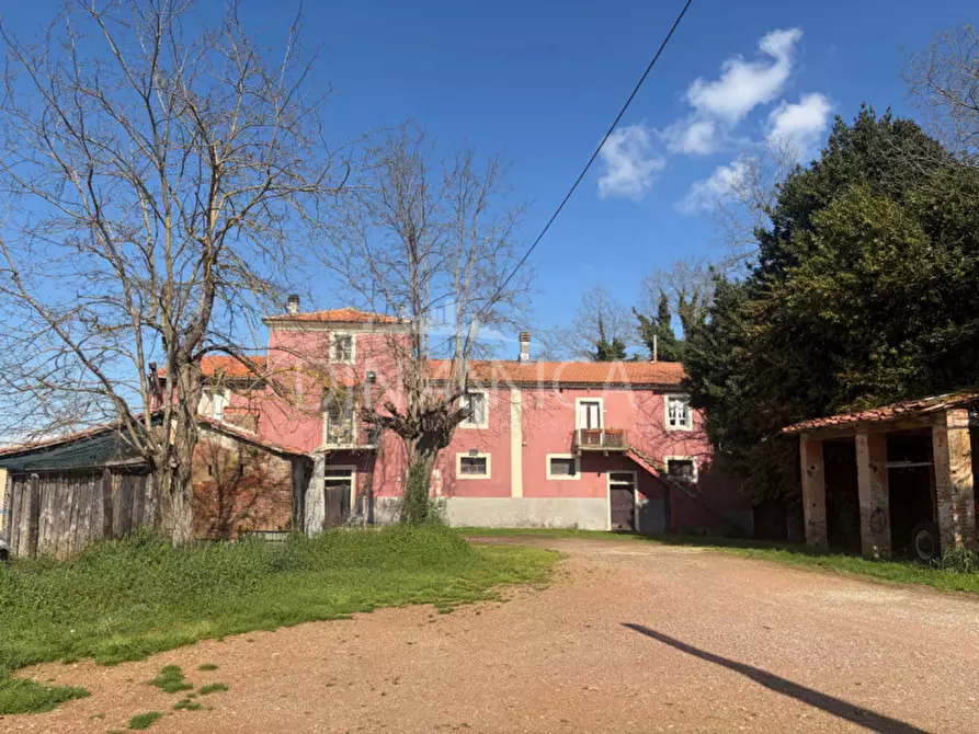 Immagine 4 di Rustico / casale in vendita  a Fauglia