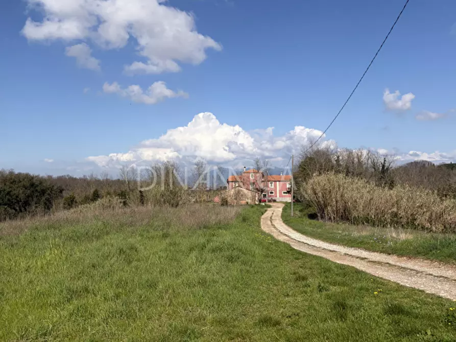 Immagine 5 di Rustico / casale in vendita  a Fauglia