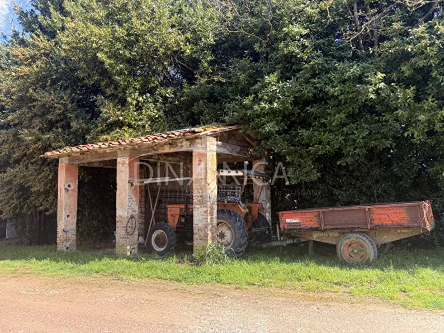 Immagine 7 di Rustico / casale in vendita  a Fauglia