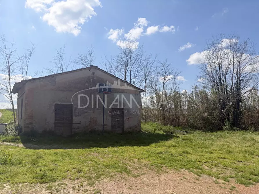 Immagine 9 di Rustico / casale in vendita  a Fauglia