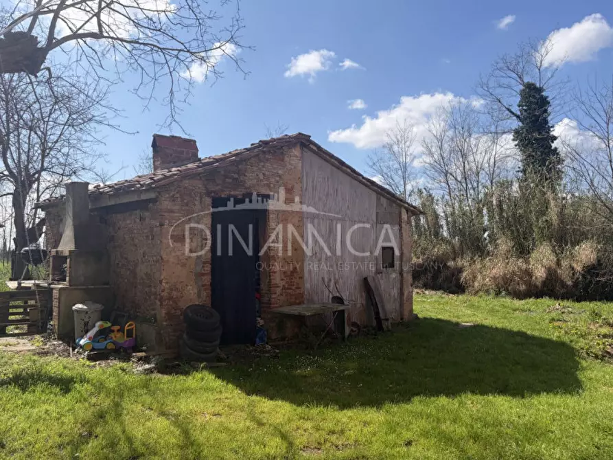 Immagine 9 di Rustico / casale in vendita  a Fauglia