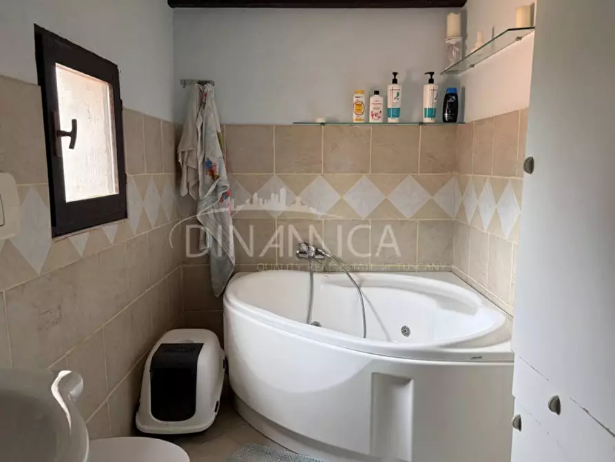 Immagine 19 di Rustico / casale in vendita  a Fauglia