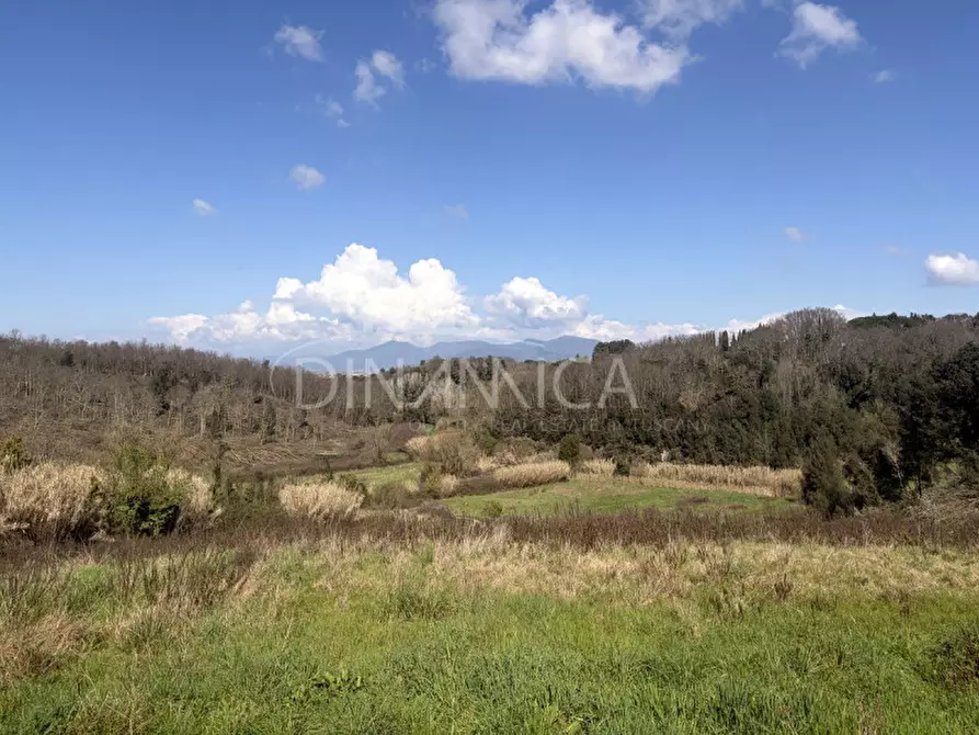 Immagine 25 di Rustico / casale in vendita  a Fauglia