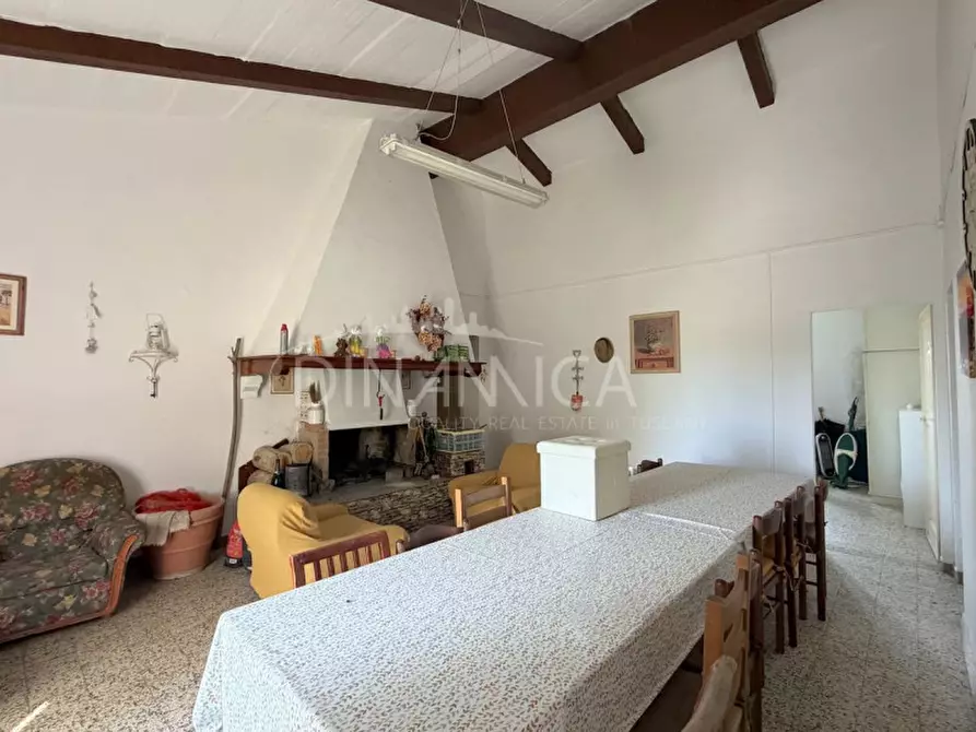 Immagine 26 di Rustico / casale in vendita  a Fauglia