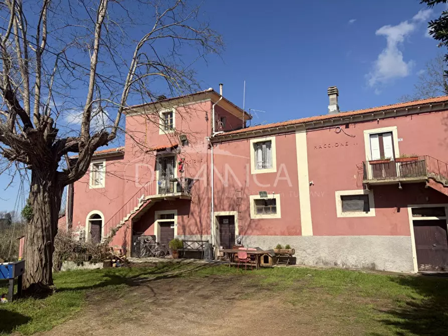 Immagine 29 di Rustico / casale in vendita  a Fauglia