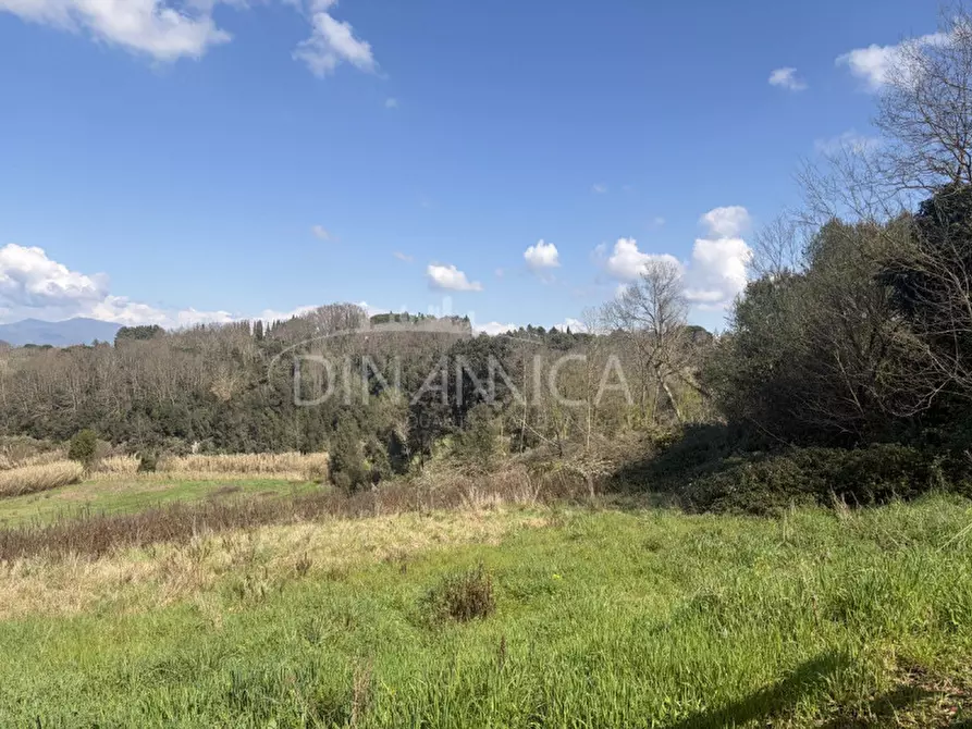Immagine 31 di Rustico / casale in vendita  a Fauglia