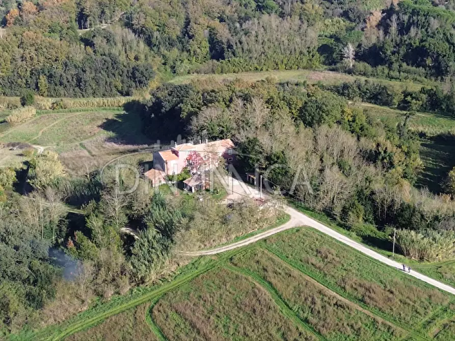Immagine 32 di Rustico / casale in vendita  a Fauglia