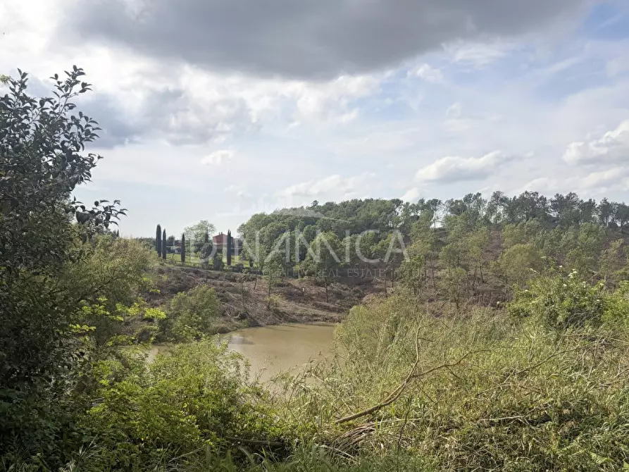 Immagine 33 di Rustico / casale in vendita  a Fauglia
