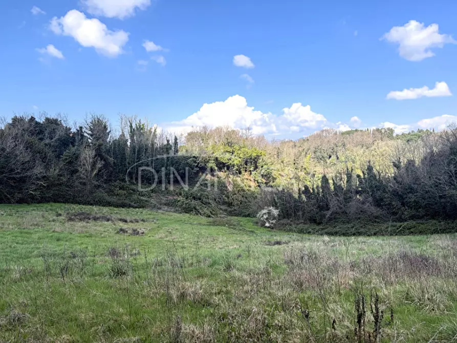 Immagine 34 di Rustico / casale in vendita  a Fauglia