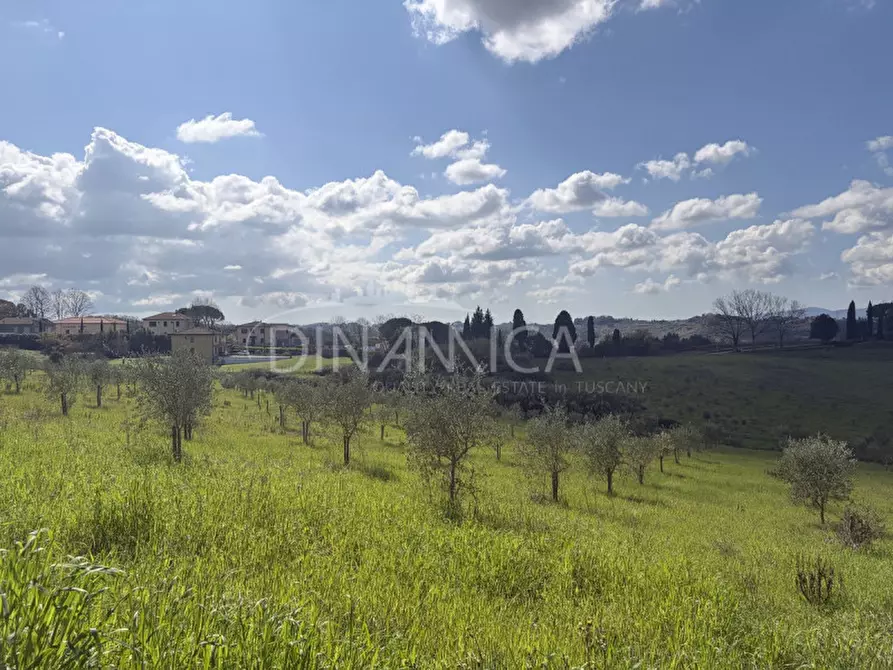 Immagine 34 di Rustico / casale in vendita  a Fauglia