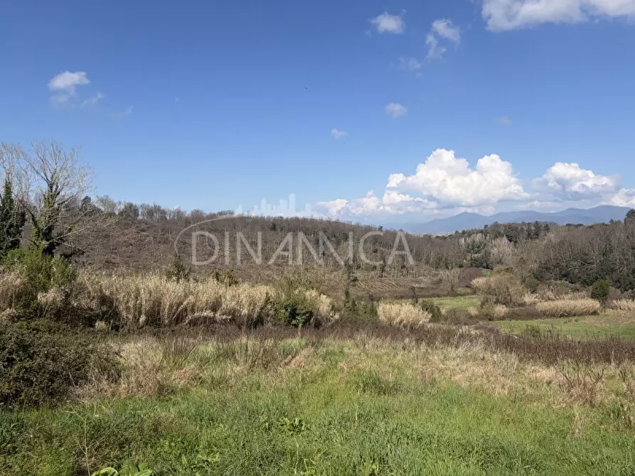 Immagine 35 di Rustico / casale in vendita  a Fauglia
