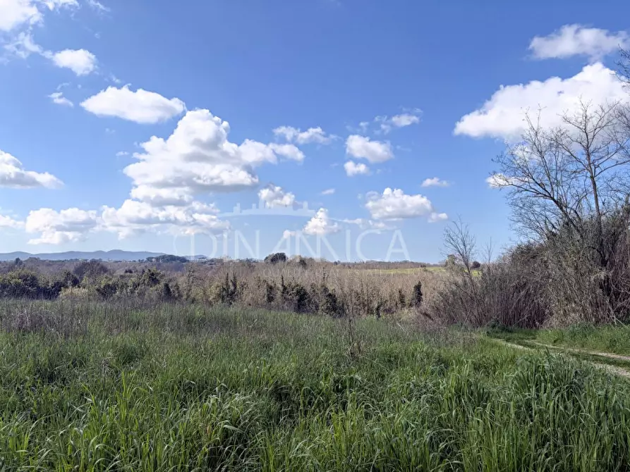 Immagine 37 di Rustico / casale in vendita  a Fauglia