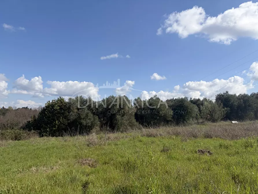 Immagine 38 di Rustico / casale in vendita  a Fauglia