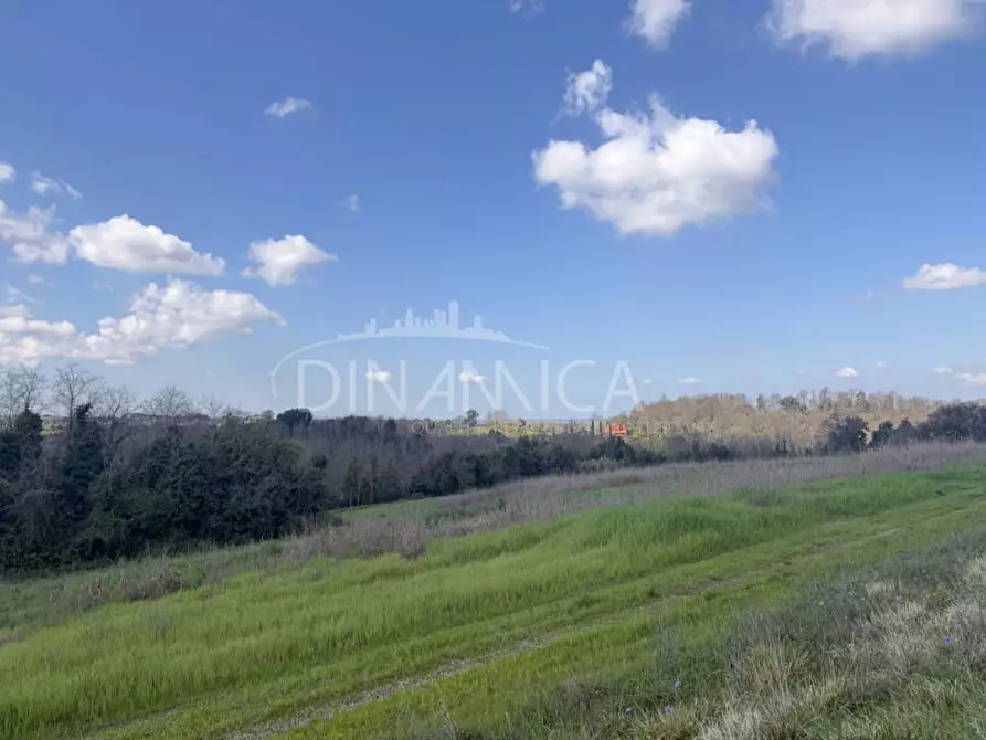 Immagine 38 di Rustico / casale in vendita  a Fauglia