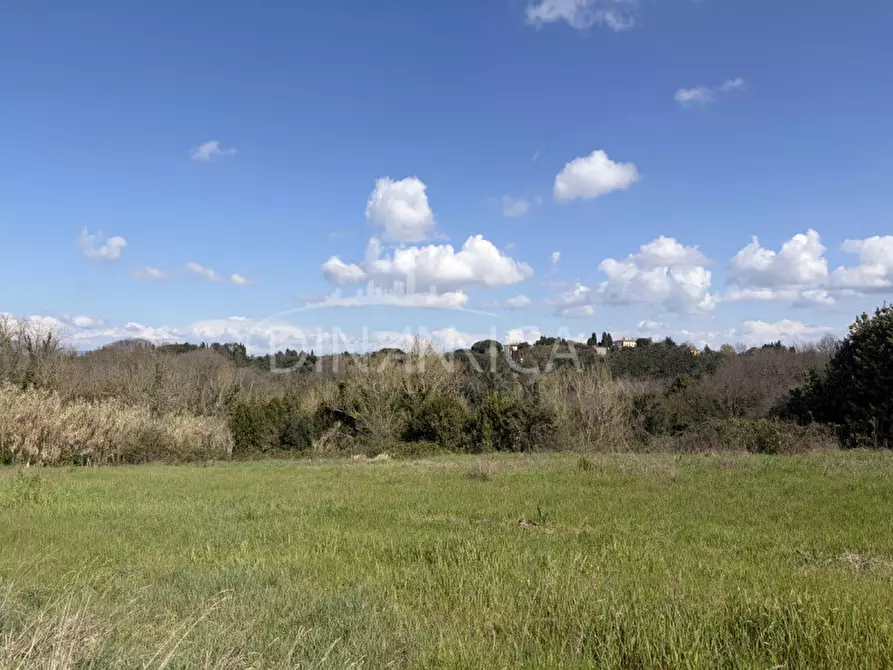 Immagine 39 di Rustico / casale in vendita  a Fauglia