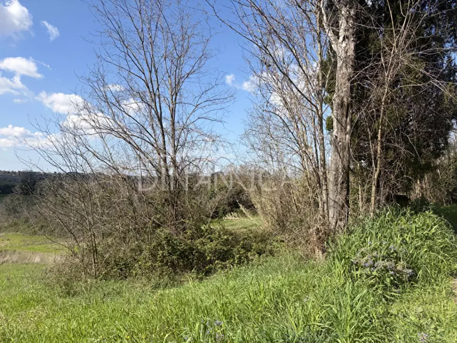 Immagine 39 di Rustico / casale in vendita  a Fauglia